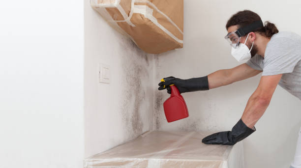 Professional Black Mold Remediation technician working in Medford, NJ