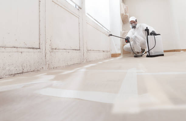 24/7 Emergency Black Mold Remediation experts in Medford, NJ